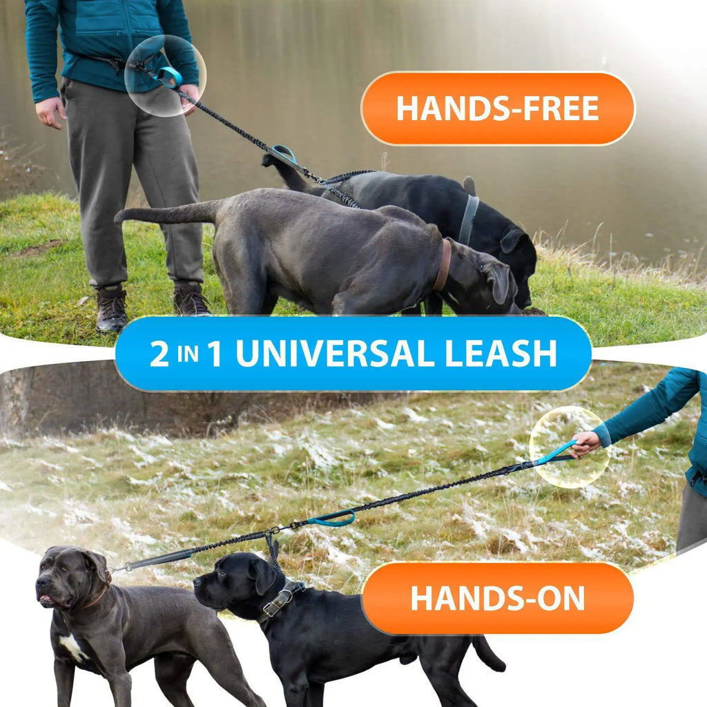 Hands Free Lead for 2 Dogs