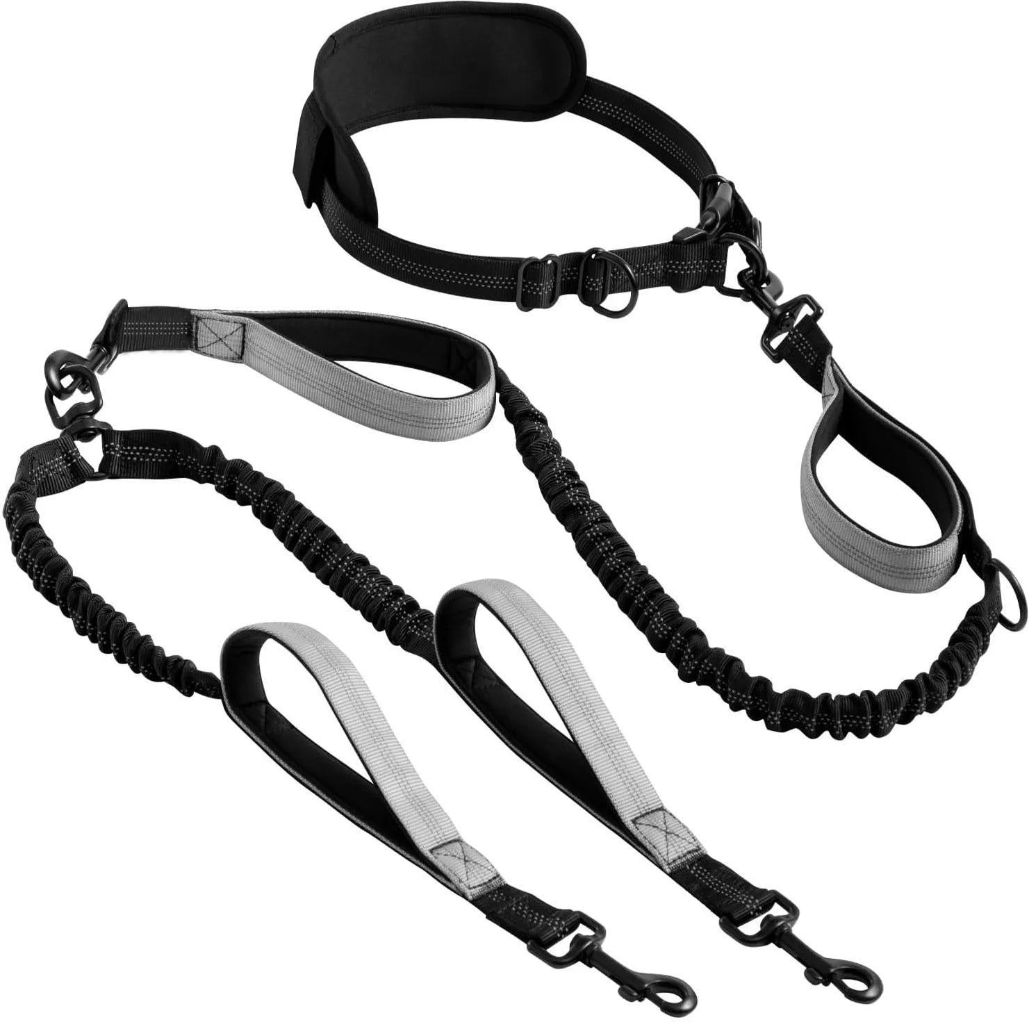 Hands Free Lead for 2 Dogs