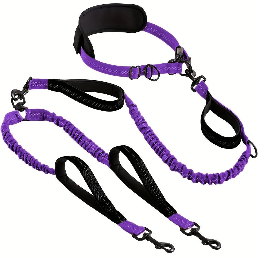 Hands Free Lead for 2 Dogs