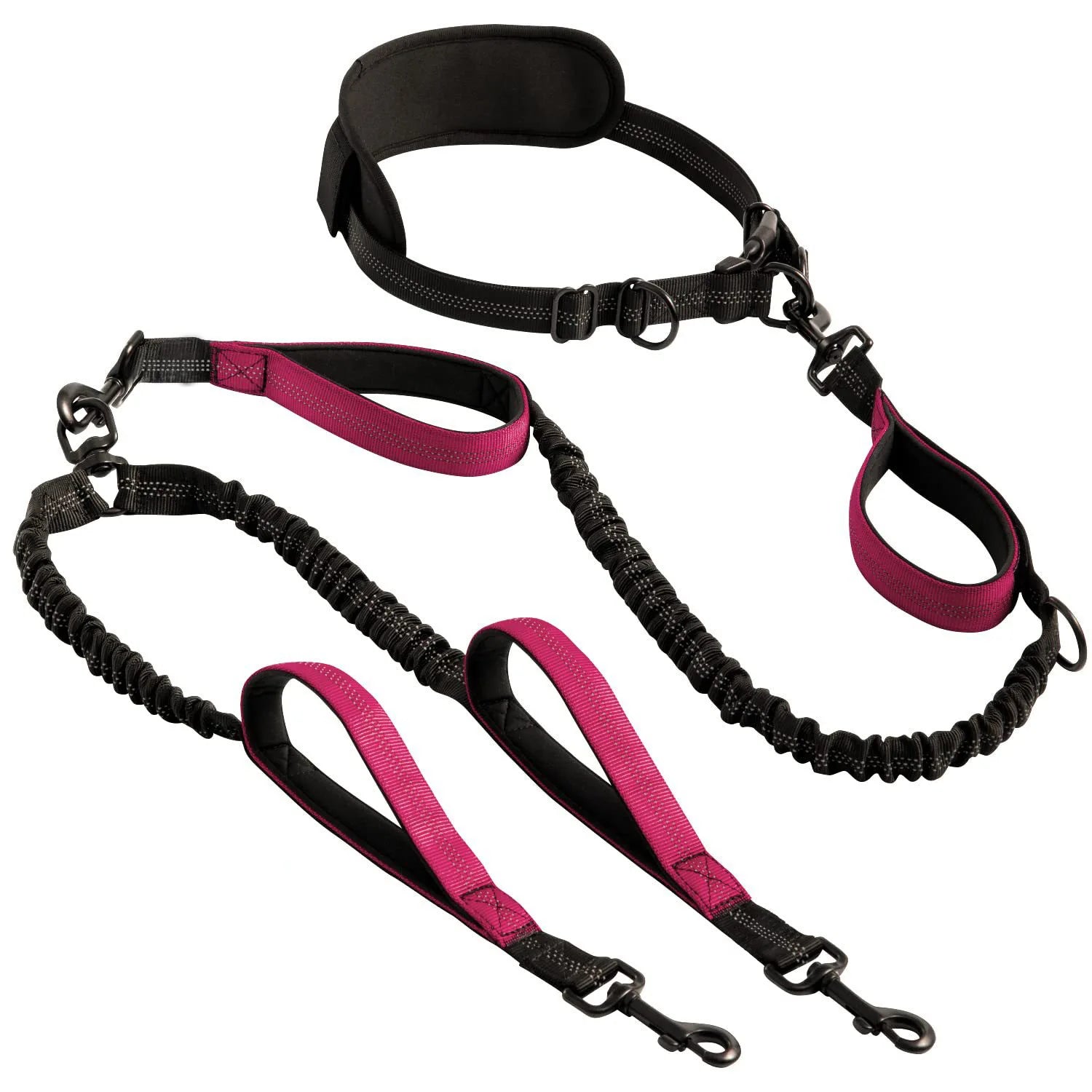 Hands Free Lead for 2 Dogs