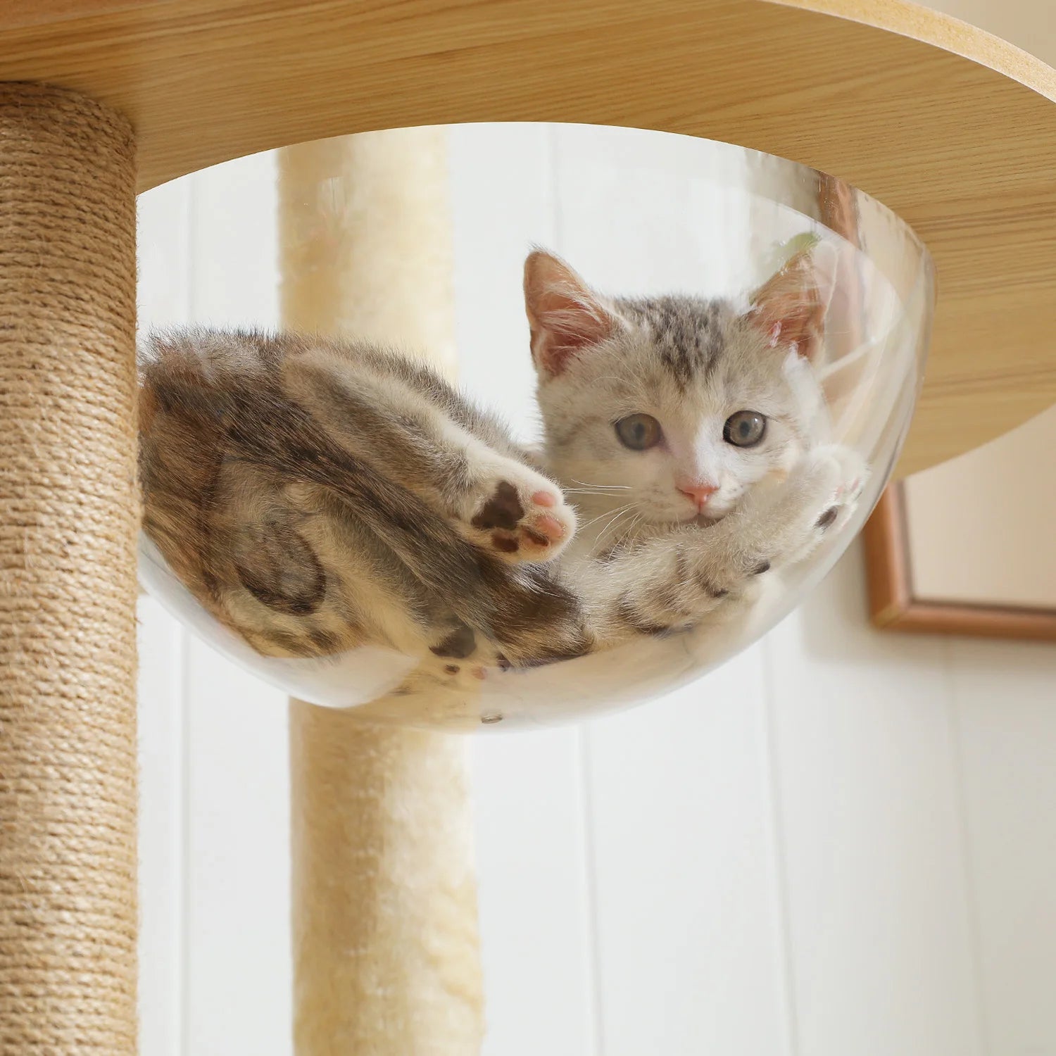 Multi-Level Cat Tree With Scratching Posts, Condo and Hammock
