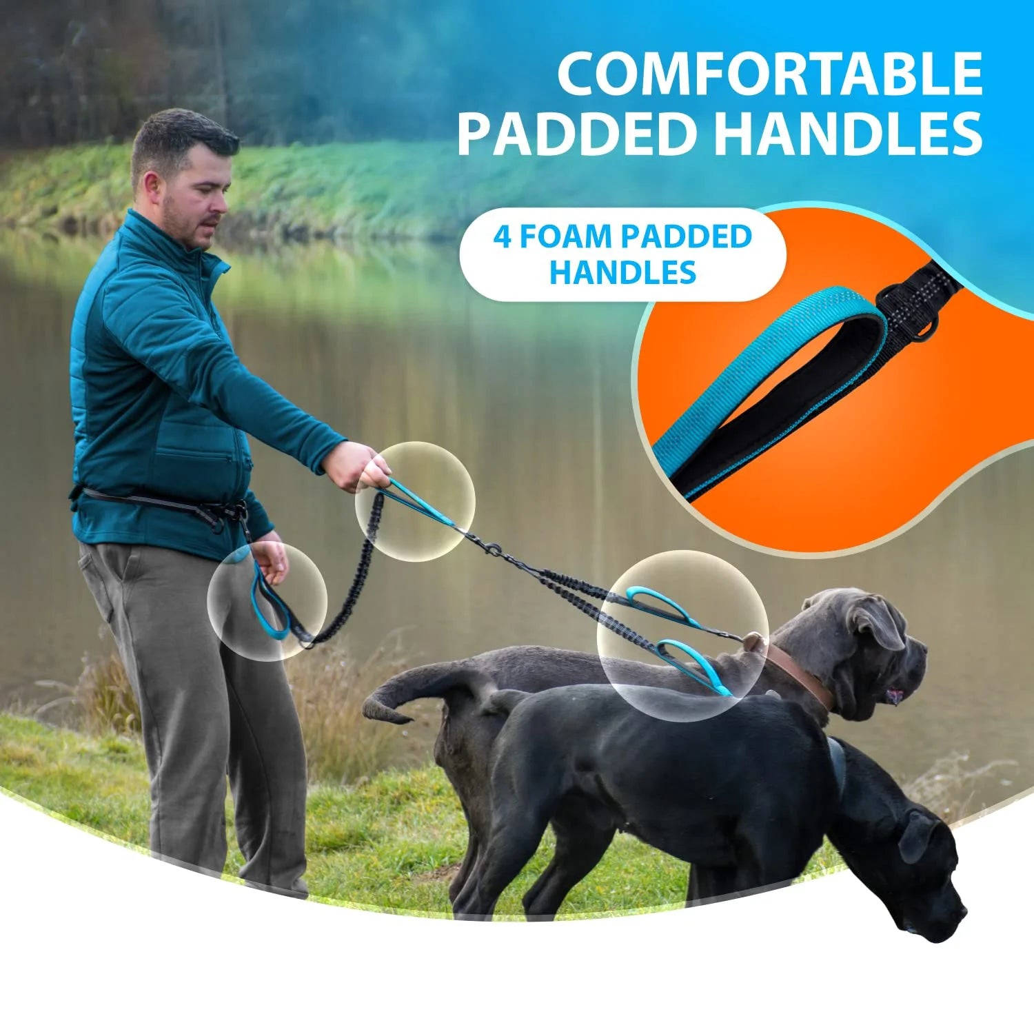 Hands Free Lead for 2 Dogs