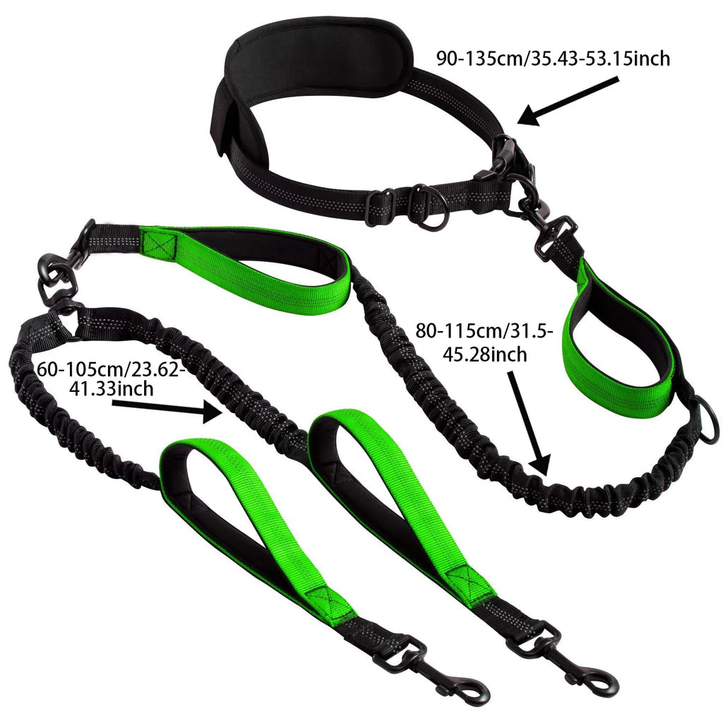 Hands Free Lead for 2 Dogs