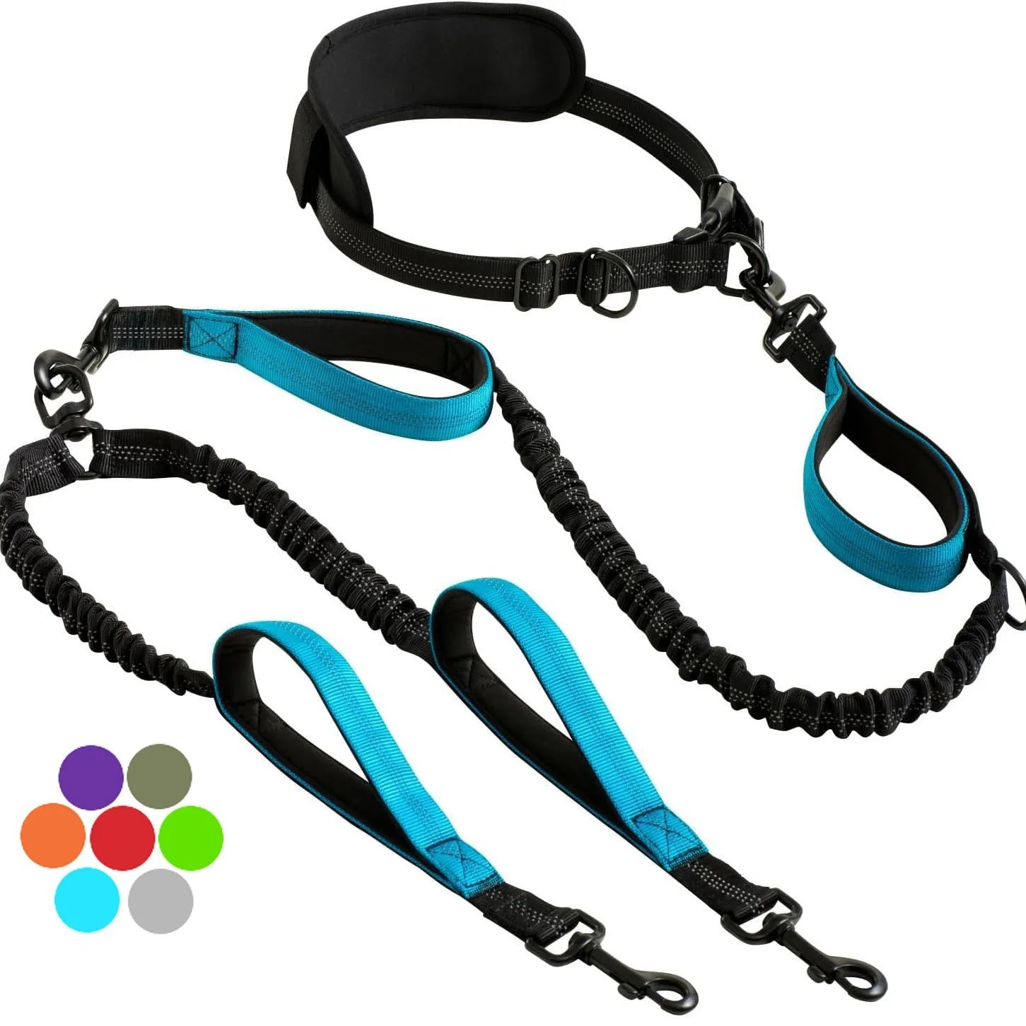 Hands Free Lead for 2 Dogs